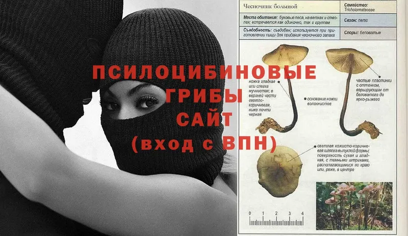 Галлюциногенные грибы Magic Shrooms  где найти наркотики  Кимовск 